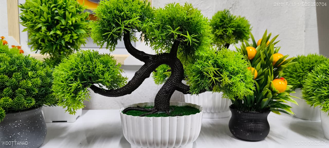 Home & Decor products at SayonMart