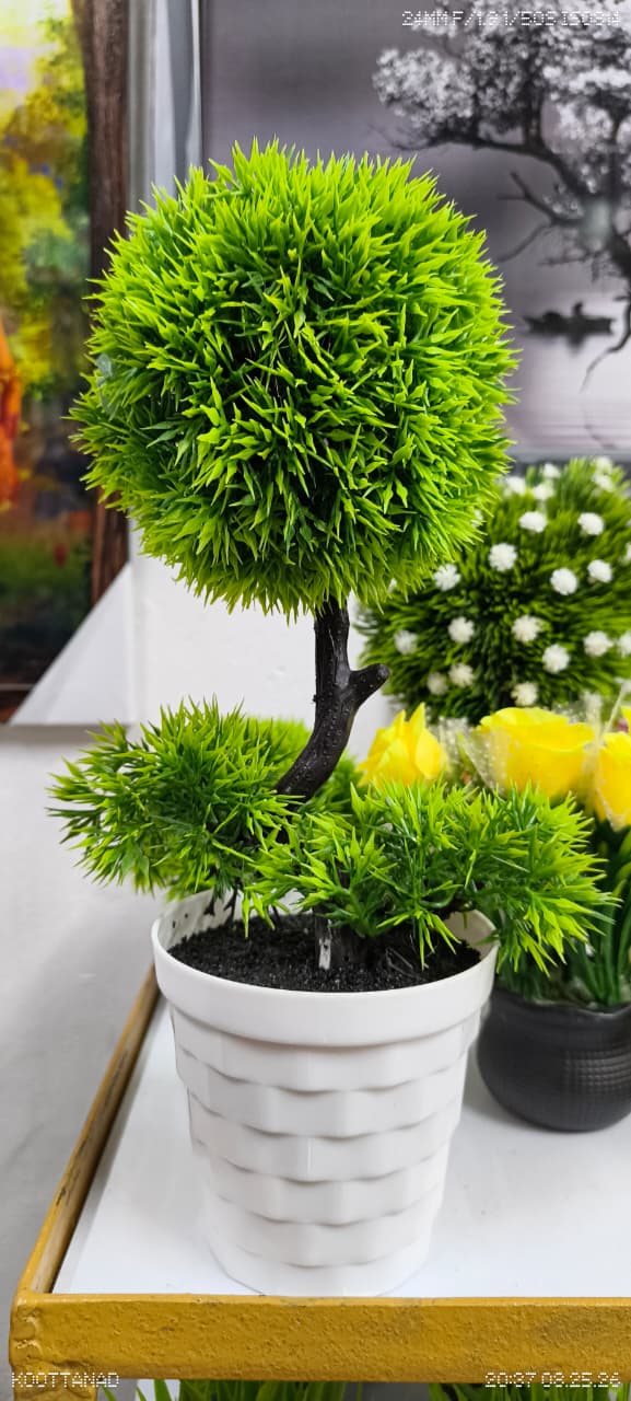 Home & Decor products at SayonMart